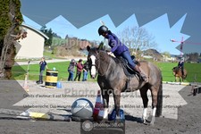ref. photo 4013186