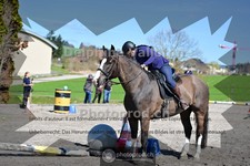 ref. photo 4013187