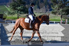 ref. photo 4013509