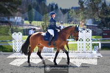 ref. photo 4013739