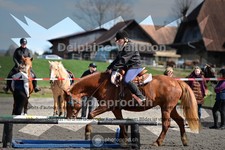 ref. photo 4013907