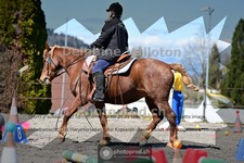 ref. photo 4013951