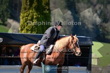 ref. photo 4013958