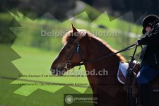 ref. photo 4013966