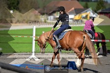 ref. photo 4014029