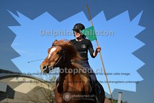ref. photo 4014065