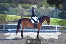 ref. photo 4014124