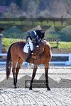 ref. photo 4014147