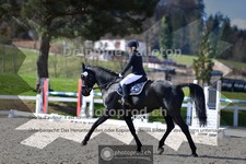 ref. photo 4014168
