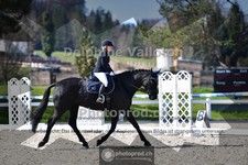 ref. photo 4014183