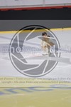 ref. photo 3489505