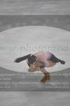 ref. photo 3058502