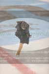 ref. photo 3060757