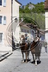 ref. photo 4036333