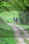 ref. photo 3142332