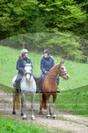 ref. photo 3142340