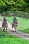 ref. photo 3142349