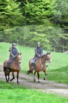ref. photo 3142351