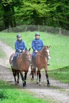 ref. photo 3142361