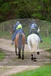 ref. photo 3142381
