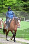 ref. photo 3142391