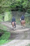ref. photo 3142396