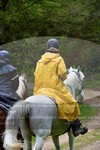ref. photo 3142427