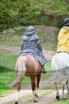 ref. photo 3142428