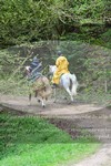 ref. photo 3142430