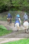 ref. photo 3142457