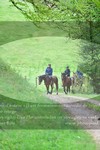 ref. photo 3142458