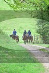 ref. photo 3142459