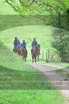 ref. photo 3142461