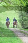 ref. photo 3142462