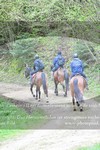 ref. photo 3142477
