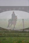 ref. photo 3142482
