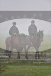 ref. photo 3142483
