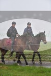 ref. photo 3142485