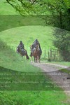 ref. photo 3142490