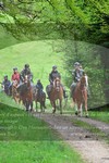 ref. photo 3142493