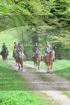 ref. photo 3142495