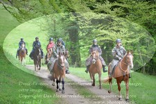 ref. photo 3142496