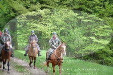 ref. photo 3142497