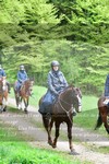 ref. photo 3142503