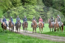 ref. photo 3142505