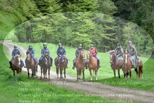 ref. photo 3142506