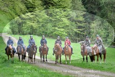 ref. photo 3142507