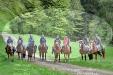 ref. photo 3142508