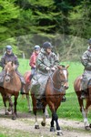 ref. photo 3142509