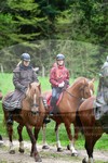 ref. photo 3142511